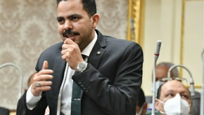رئيس مجلس النواب يوافق على مقترح زعيم الأغلبية النيابية بشأن تأجيل اجتماعات اللجان