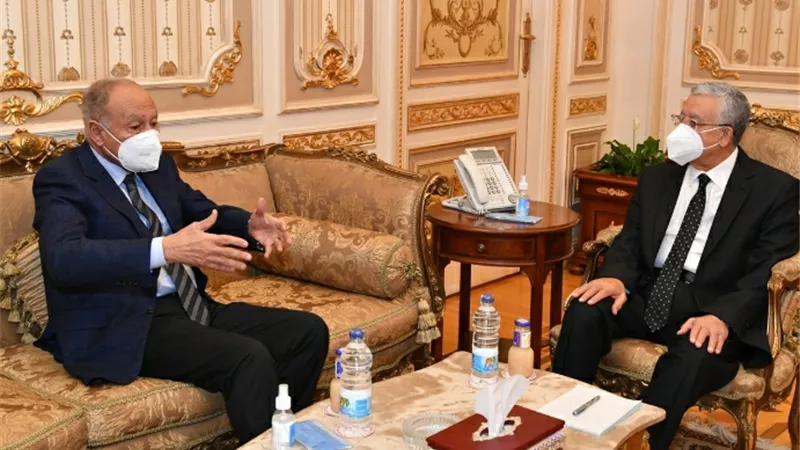 رئيس مجلس النواب: الدولة المصرية تحت قيادة الرئيس عبدالفتاح السيسي لا تألو جهدًا في دعم القضايا والمواقف العربية