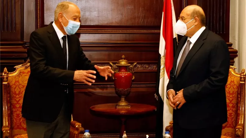 رئيس مجلس الشيوخ يستقبل أبو الغيط