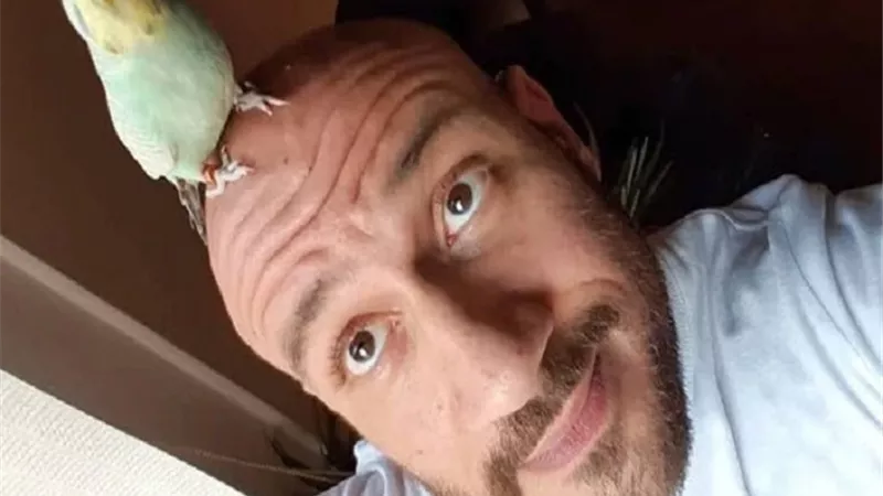 عاشق العصافير.. أحمد مكى يطل على جمهوره 