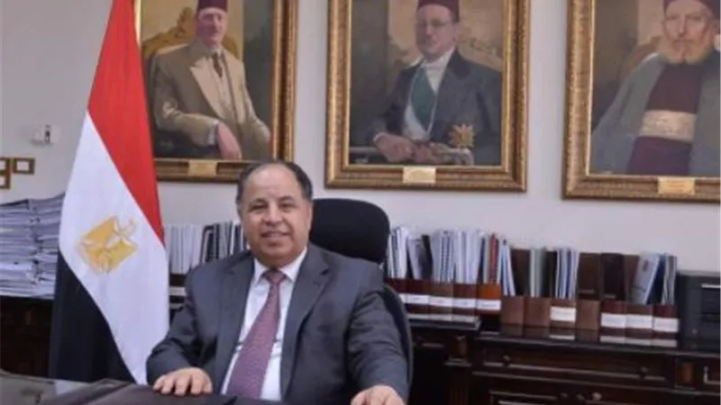 وزير المالية التطبيق الاجبارى للنظام الجمركى المسبق التسجيل للشحنات «ACI»يوليو المقبل