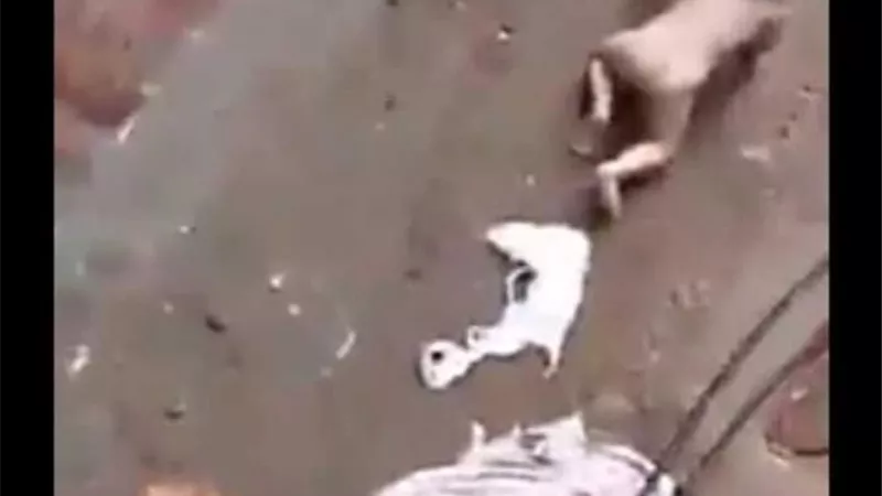 معذب طفلته امام النيابة ...الواقعة كانت رسالة ارهاب لزوجتى واسرتها فقط