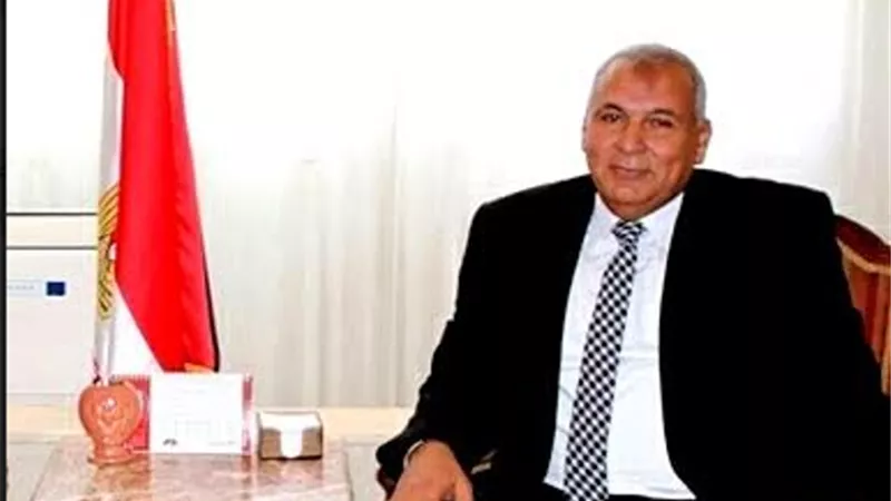 الوزراء يعتمد المخطط الإستراتيجي العام لمدينتي الخارجة والفرافرة بالوادى الجديد