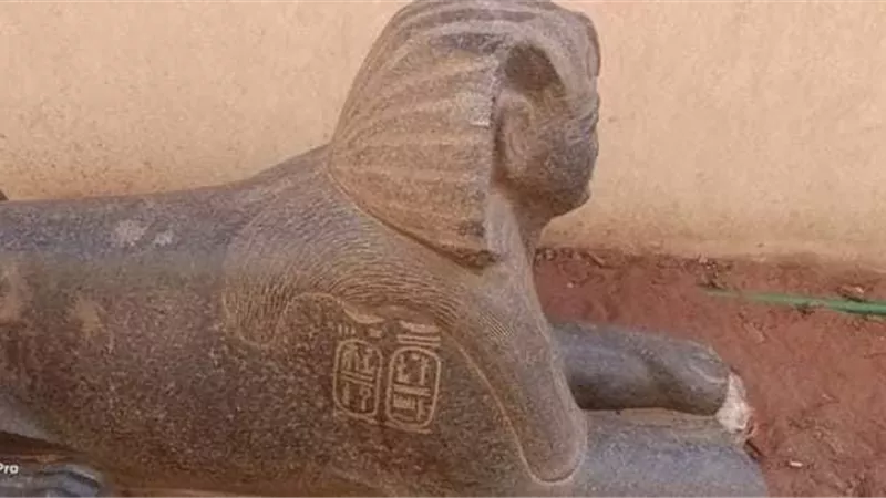 القبص علي عصابة الاثار المنهوبة من ايام الثورة مدفونة داخل الزريبة بالاسماعيلية