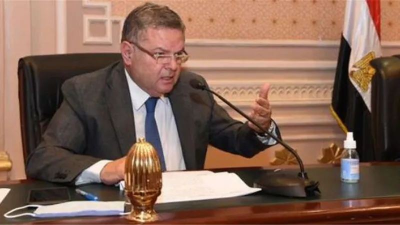 وزير قطاع الأعمال: الوازة تمتلك 3 شركات نقل ركاب و5 شركات نقل بضائع