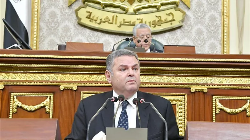 نواب لوزير قطاع الاعمال: التاريخ لن يغفر تصفية شركة الحديد والصلب