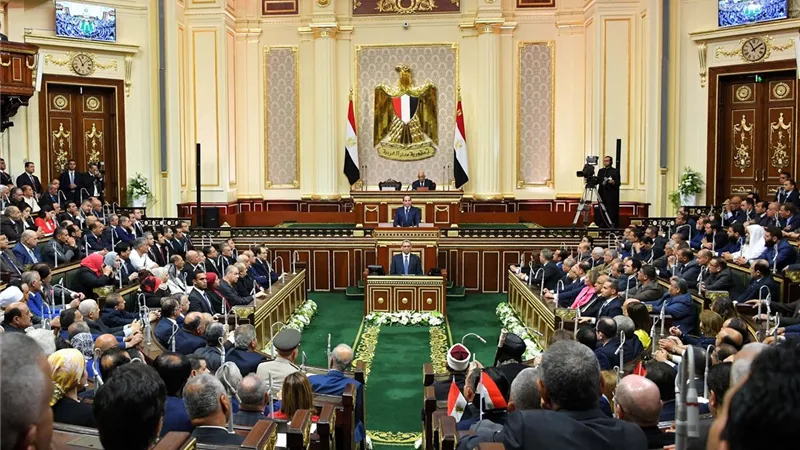 نائب: مشروع 