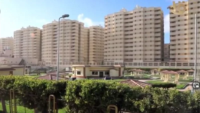 الرقم القومي.. كيف يحمي الثروة العقارية وأصحابها؟.. فيديو