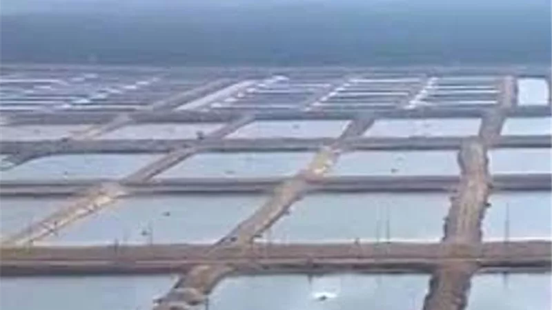 النائب ابو الفضل: المشاريع الضخمة للاستزراع السمكي جاءت بعد استعادة سيطرة الدولة عليها