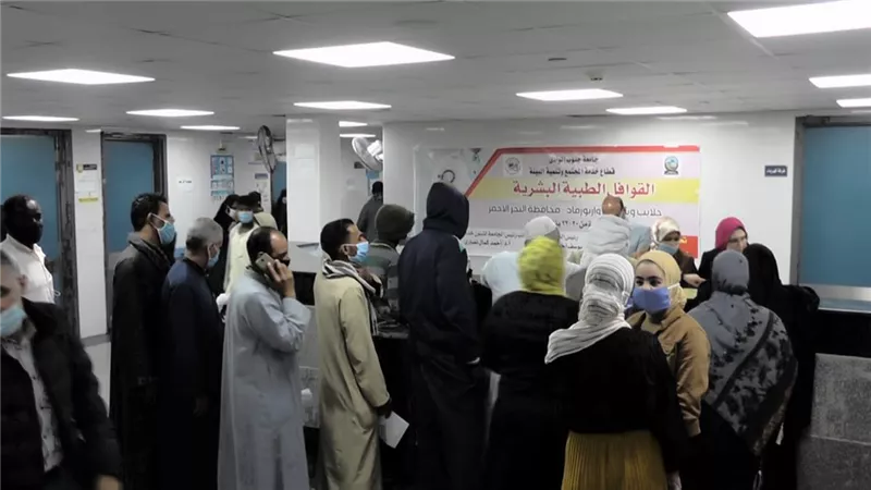 فحص 1156حالة طبية بشرية و2394 بيطرية بقافلة جنوب الوادى