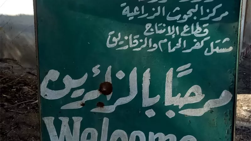 مطالب شرقاوية بوقف اغتيال ٨٣ فدانا أرض زراعية بكفر الحمام بالزقازيق
