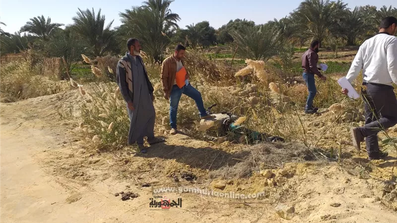 استمرار عمل لجان معاينة الأراضي المستهدف تنفيذها كمزارع ارشادية بسيوة