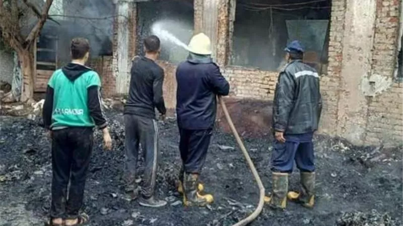 نفوق 3 آلاف كتكوت فى حريق بمزرعة دواجن بإسنا جنوب الأقصر