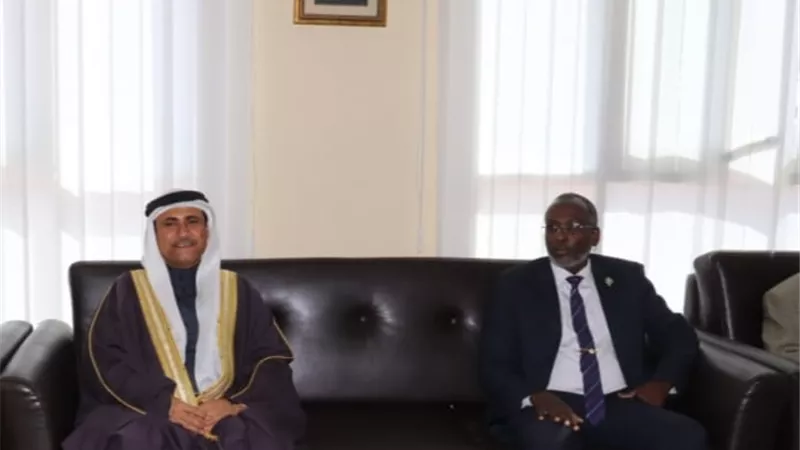 العسومي: زيارتنا إلى جيبوتي تأتي في إطار تفعيل دور الدبلوماسية البرلمانية العربية دعما للعمل العربي المشترك