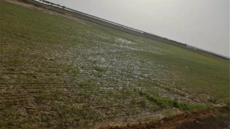 رئيس مدينة سيوة يلتقى رئيس مجلس ادارة شركة كنوز الزراعية