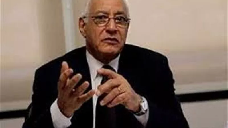 علي الدين هلال: 3 أسباب وراء عدم تلقي مصر مصير دول الربيع العربي