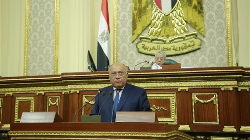 وزير الخارجية: مصر قدمت 4 ملايين دولار لصندوق افريقيا فى جائحة كورونا