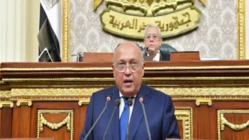 وزير الخارجية: ملف حقوق الانسان على رأس اولوياتنا