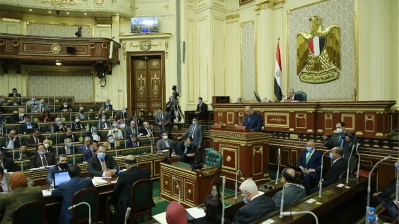 درويش: سياسات مصر الخارجية حكيمة ورشيدة وتقوم على الندية والتعاون