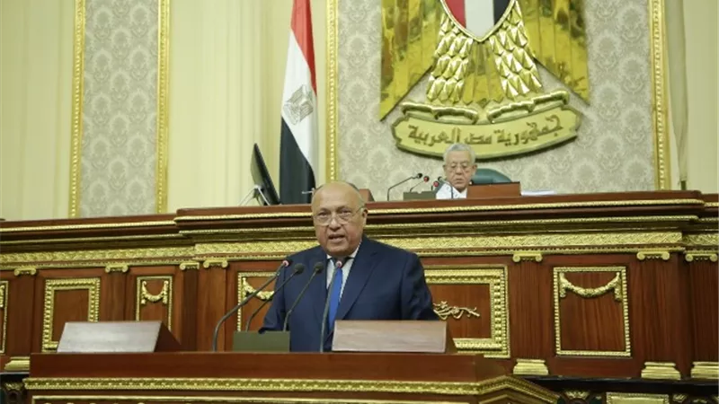 شكرى: نتائج قمة العلا خاضعة للرصد والاختبار.. ونتمنى الامتثال لنتائجها