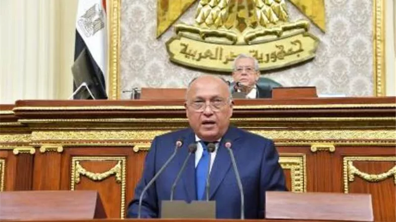 وزير الخارجية يشيد بجهود القوات المسلحة في إزالة الغام الحرب العالمية الاولى من الصحراء الغربية
