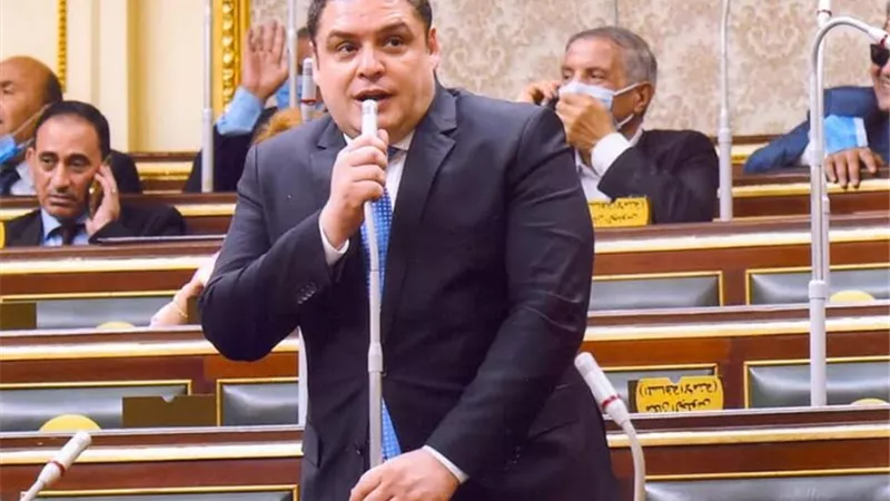العمده نرفض أي تدخل خارجى في الشأن الداخلى المصرى