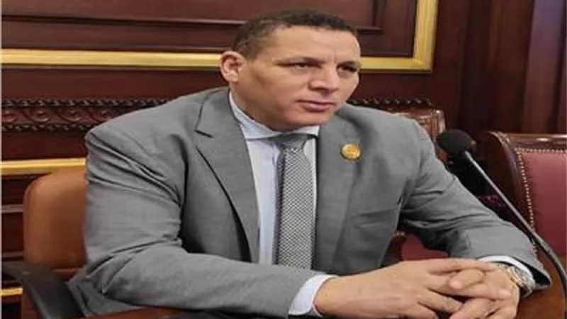 أحمد محسن: مصر ترفض تدخل 
