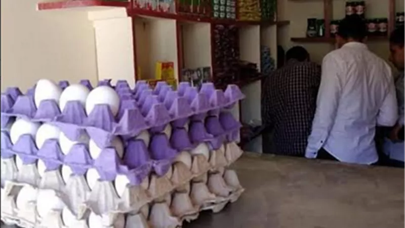 حملة تفتيش على الاغذيه باهناسيا