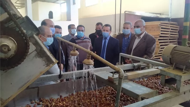 جامعة الوادى الجديد تدعم مشروعات الانتاج الحيوانى وصناعة التمور