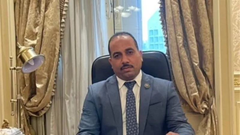 النائب ابو الفضل: المشروعات القومية العملاقة جواز مرور مصر للمستقبل