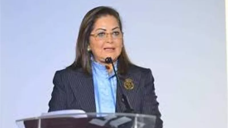 هالة السعيد: ميكنة الخدمات يعكس توجه الدولة نحو التحول الرقمي
