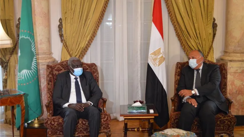 شكري يبحث مع 