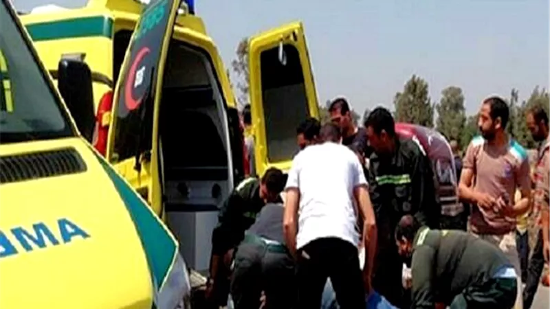 اصابة 7 اشقاء فى انقلاب سيارة على طريق الخارجة اسيوط بالوادى الجديد