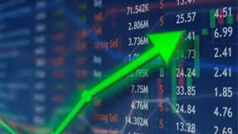 البورصة تربح 45.9 مليار جنيه خلال يناير الحالى