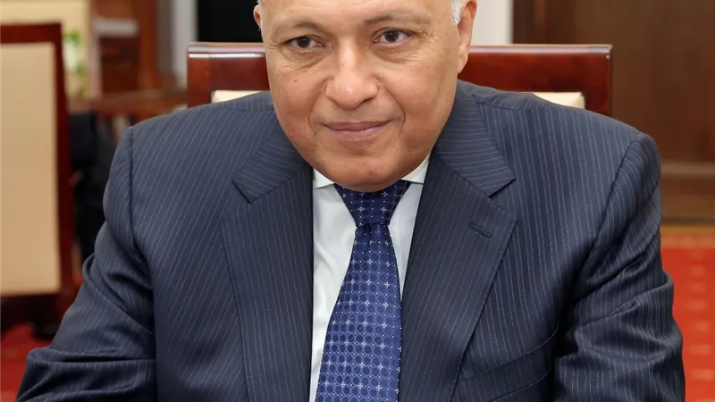 شكري يبحث تعزيز التعاون مع نظيرته السيراليونية