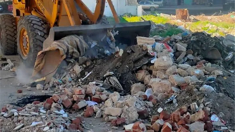 حمله نظافة بغرب الإسكندرية