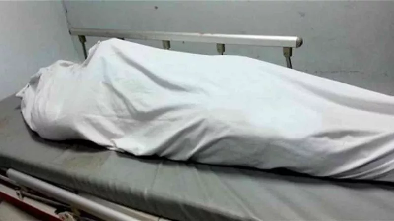 مصرع مسن في حادث تصادم بين سيارة ملاكي وجرار زراعي بالدقهلية
