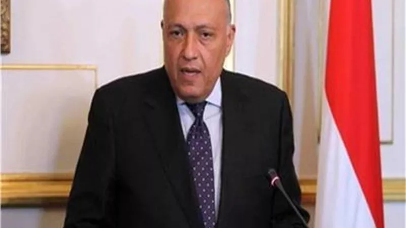 وزير الخارجية يتلقى اتصالاً من نظيره البرازيلي عبر الفيديو كونفرانس