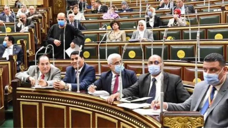 «صحة النواب» توضح تفاصيل الموافقة على منح معاش تكاملي لأسر الفرق الصحية المتوفية بالأوبئة