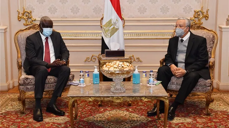 المستشار حنفي جبالي رئيس مجلس النواب يستقبل رئيس مفوضية الإتحاد الإفريقي