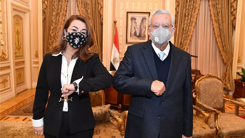 بالصور .. رئيس مجلس النواب يستقبل غادة والى