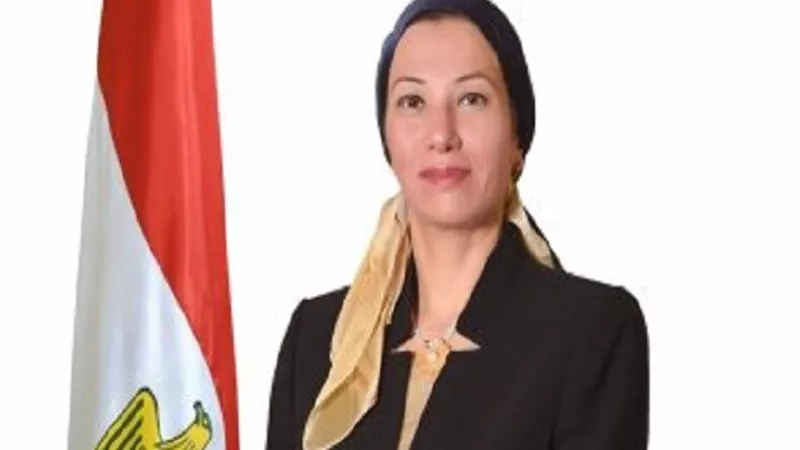 البيئة تتابع ازالة تلوث زيتي بالطور فور تلقي بلاغ من الصيادين