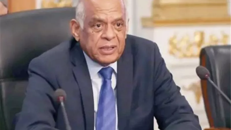 علي عبد العال: لا حظر على زيادة عدد سنوات فترة الرئاسة