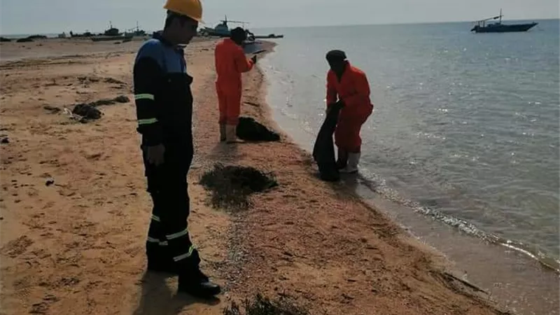 البيئة: السيطرة على التلوث الزيتي بالطور في أقل من 24 ساعة