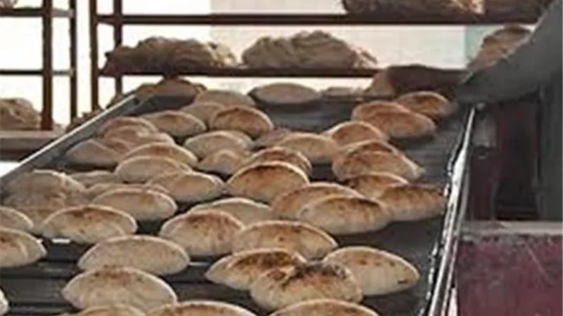 ضبط 3 موظفين تواطؤا مع اصحاب مخابز فى 3،5 مليون جنيه بالغربية