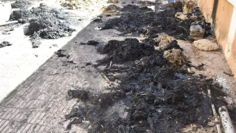 بالصور.. تطهير محطة الصرف الصحى الرئيسية رقم 4 بأرمنت جنوب غرب الأقصر