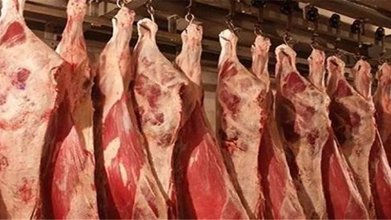 التموين: توفير اللحوم والدواجن بكميات كبيرة استعدادا لشهر رمضان
