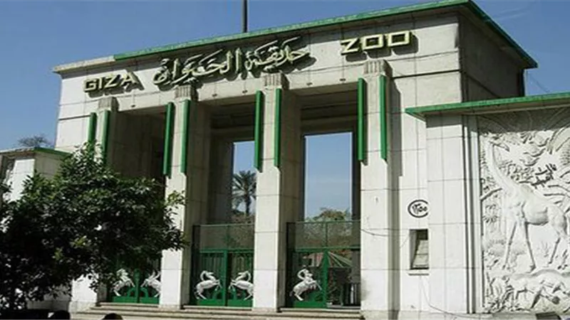 اغلاق شباك التذاكر بحديقة حيوان الجيزة ومنع الدخول او الخروج