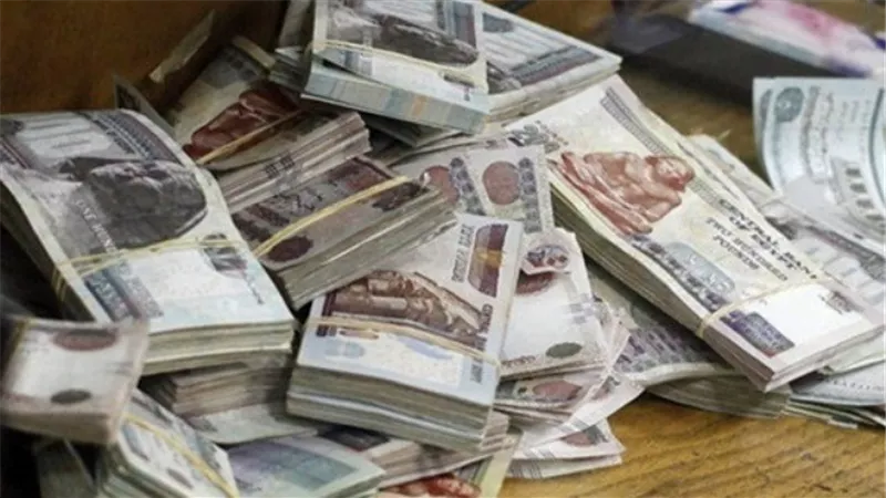 المخالفات تنعش خزينة الدولة بـ 50 مليون جنيه