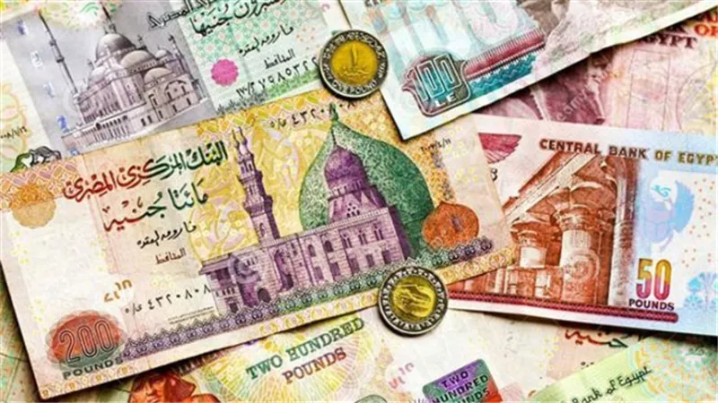 القبض على تاجرة العملة بالدقهلية